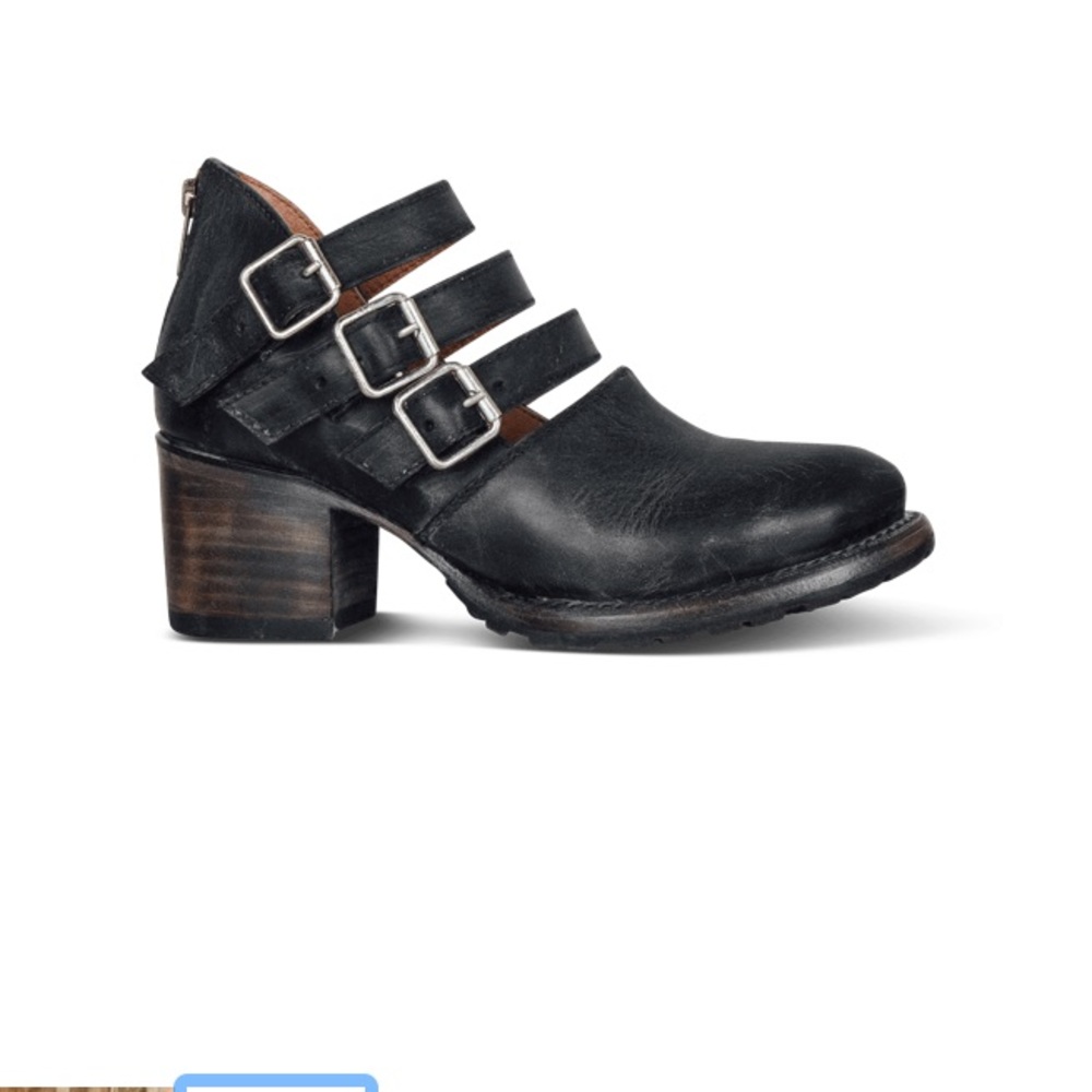 Dawson from Freebird by Steven